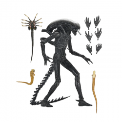 Xenomorph XX121 Alien:...