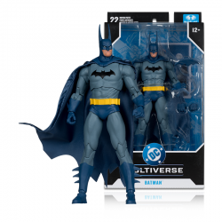 Batman Haunted Gotham DC...