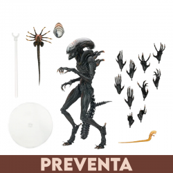 [PREVENTA] Scorched...